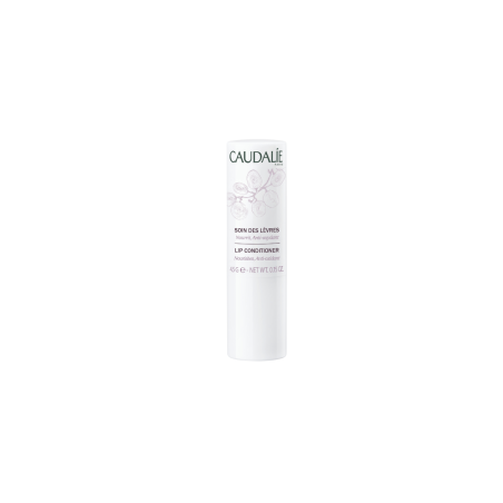 CAUDALIE STICK DE LABIOS 4,5 GR