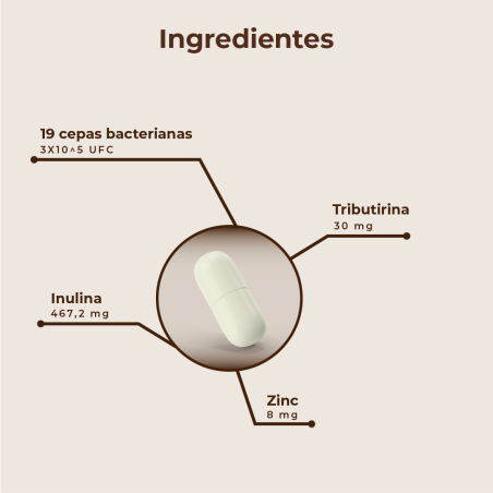 KOBHO PRE-POST PROBIOTIC 60 CAPSULAS